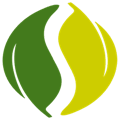 SpringSource logo