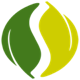 SpringSource logo